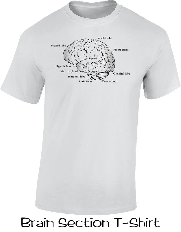 Brain Section T Shirt