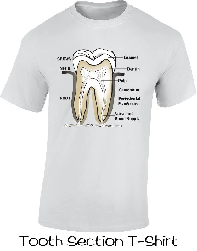 Tooth Section T Shirts